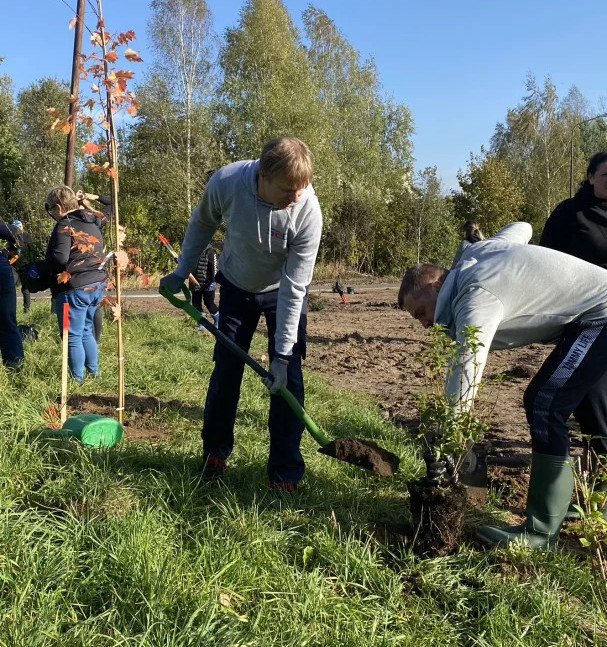 We plant trees